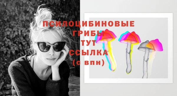 jwh Бородино