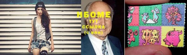 индика Бугульма