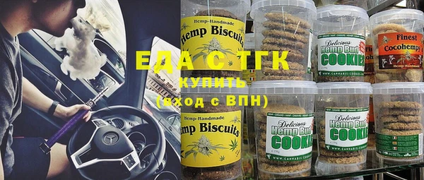индика Бугульма