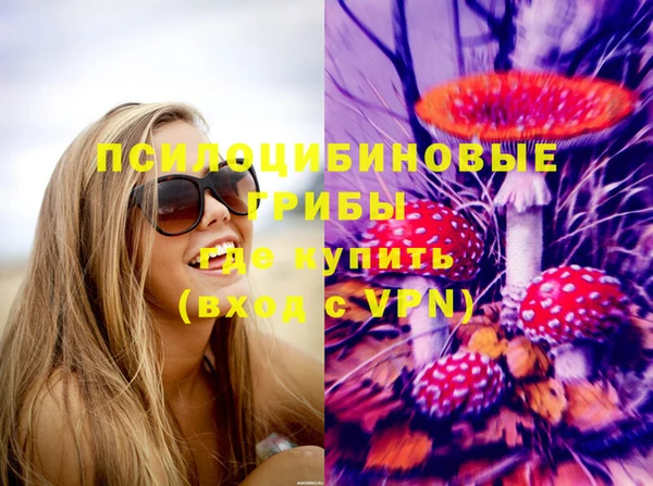 jwh Бородино