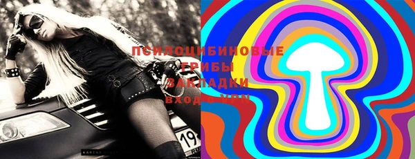 индика Бугульма