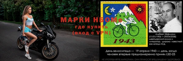индика Бугульма