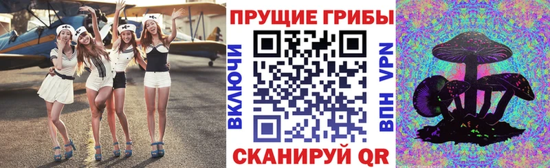 купить  сайты  Электросталь  Псилоцибиновые грибы ЛСД 
